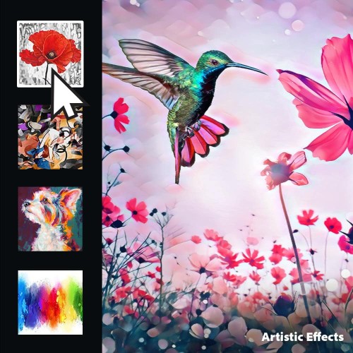 Adobe Photoshop Elements 2026 (Windows/Mac)