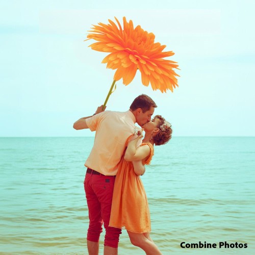 Adobe Photoshop Elements 2026 (Windows/Mac)