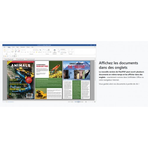 FlexiPDF Professional 2025 - Licence Perpétuelle 3 PC - Version DVD