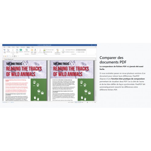 FlexiPDF Professional 2025 - Licence Perpétuelle 3 PC - Version DVD